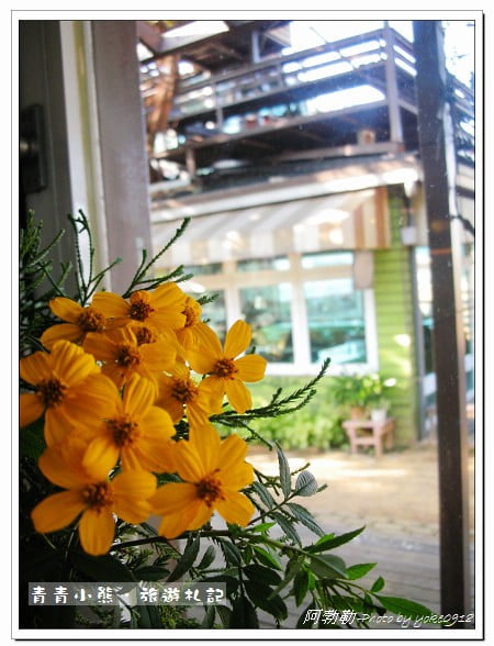 桃園旅遊景點~下午茶餐廳。漫步在阿勃勒農莊 @青青小熊＊旅遊札記