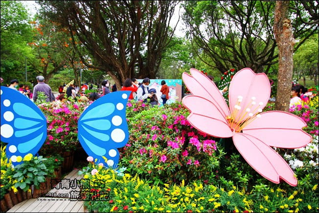 台北景點》2022台北杜鵑花季&#038;繡球花季．森林公園內的花園 @青青小熊＊旅遊札記