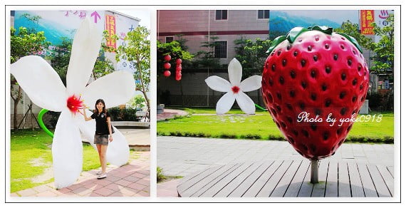 苗栗一日遊景點~採了「莓」．大湖採草莓一日遊行程 @青青小熊＊旅遊札記