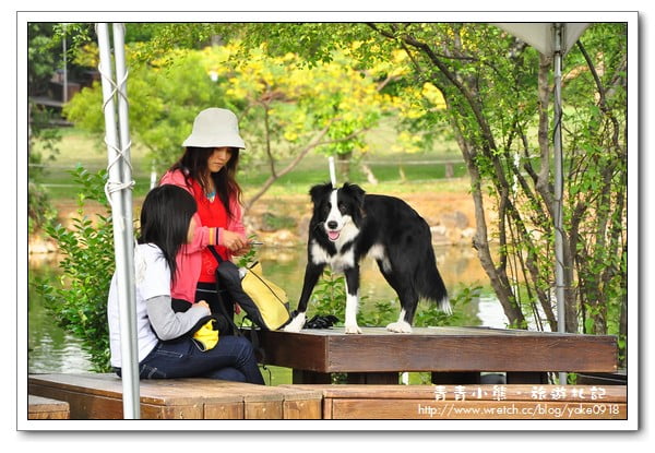 [桃園景觀餐廳]遛狗的好去處．綠風草原餐廳 @青青小熊＊旅遊札記