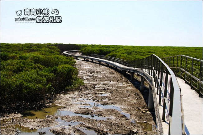 彰化新景點》芳苑濕地海空步道．最新紅樹林溼地步道~來去散散步 @青青小熊＊旅遊札記