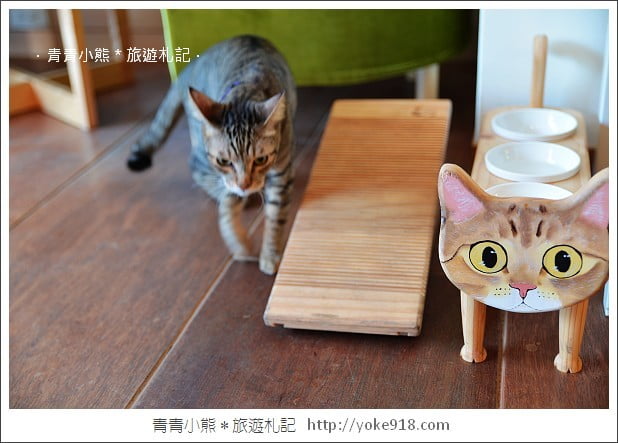台中咖啡廳》貓旅行咖啡輕食館～超可愛立體貓咪拉花 @青青小熊＊旅遊札記