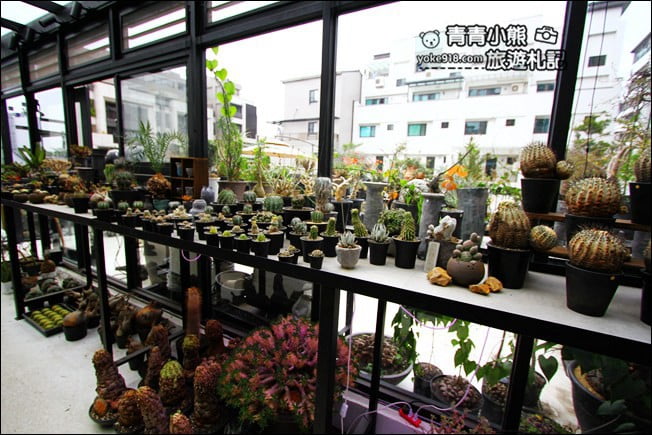 台中南屯新景點》酉 x 5pm結合綠色植物、景觀設計~玻璃屋下午茶 @青青小熊＊旅遊札記