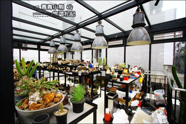 台中南屯新景點》酉 x 5pm結合綠色植物、景觀設計~玻璃屋下午茶 @青青小熊＊旅遊札記