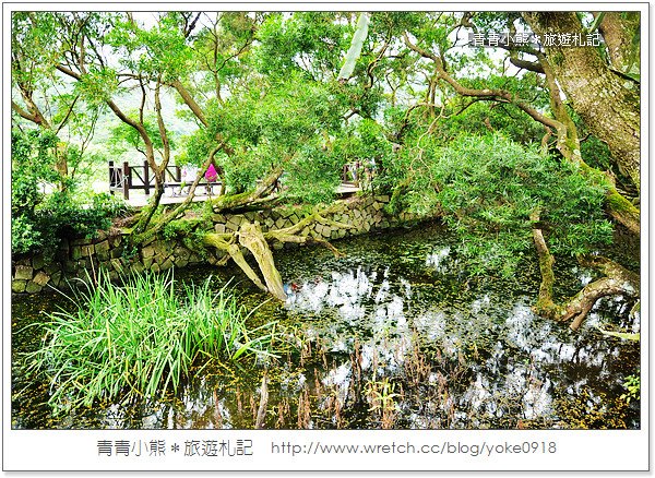 台北白石湖吊橋》內湖人氣景點+季節限定採草莓(真愛趁現在拍攝場景之一) @青青小熊＊旅遊札記