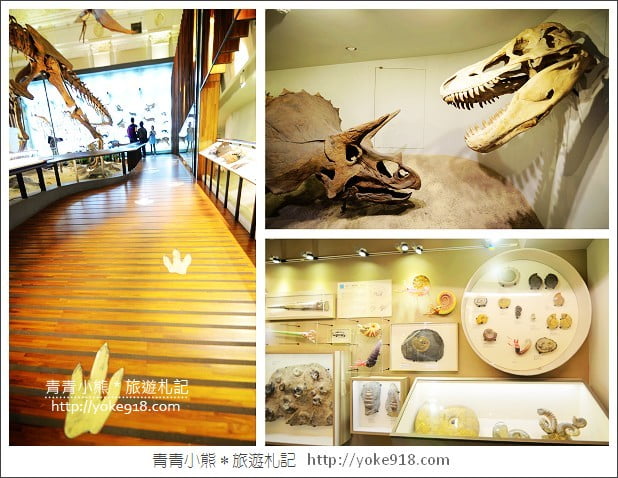 台北土銀展示館》親子同遊．來銀行裡看恐龍~台北好玩景點 @青青小熊＊旅遊札記