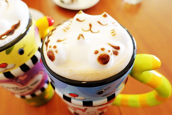 桃園拉花咖啡》咖啡廳推薦．貓鼻子複合式咖啡餐飲~立體貓咪拉花咖啡 @青青小熊＊旅遊札記