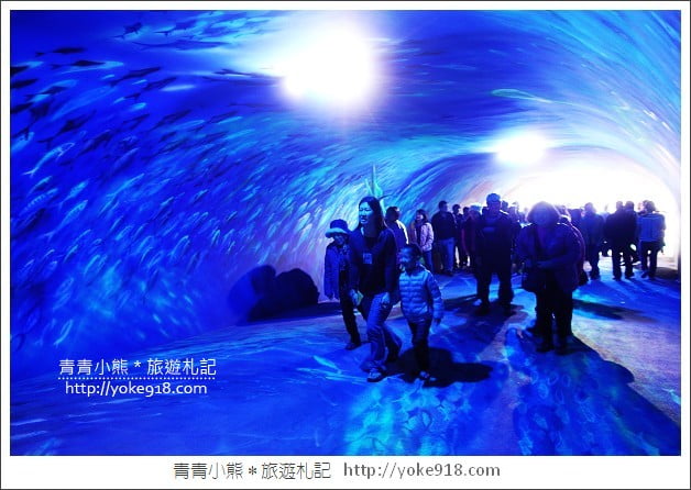蘇澳景點》宜蘭祝大漁物產館．逼真的海底隧道~3D彩繪超好拍 @青青小熊＊旅遊札記