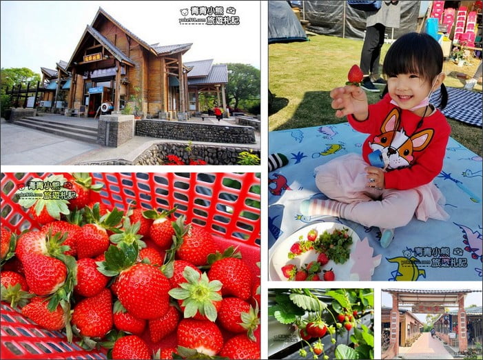 苗栗採草莓景點》苗栗和其它縣市推薦草莓園~冬天就是要甜蜜蜜吃草莓 @青青小熊＊旅遊札記