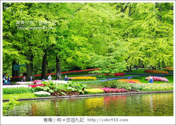 荷蘭庫肯霍夫公園》世界最大的鬱金香花園Keukenhof．隨處皆是明信片場景 @青青小熊＊旅遊札記