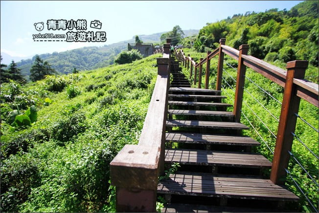 嘉義景點》太興岩景觀茶園步道．梅山山中的步道~悠閒賞景去 @青青小熊＊旅遊札記