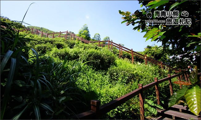 嘉義景點》太興岩景觀茶園步道．梅山山中的步道~悠閒賞景去 @青青小熊＊旅遊札記