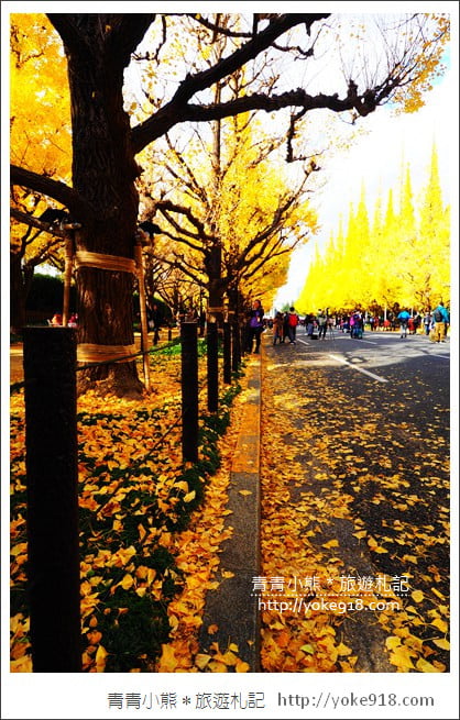 東京景點》明治神宮外苑銀杏大道．這一季最美的金黃大道 @青青小熊＊旅遊札記