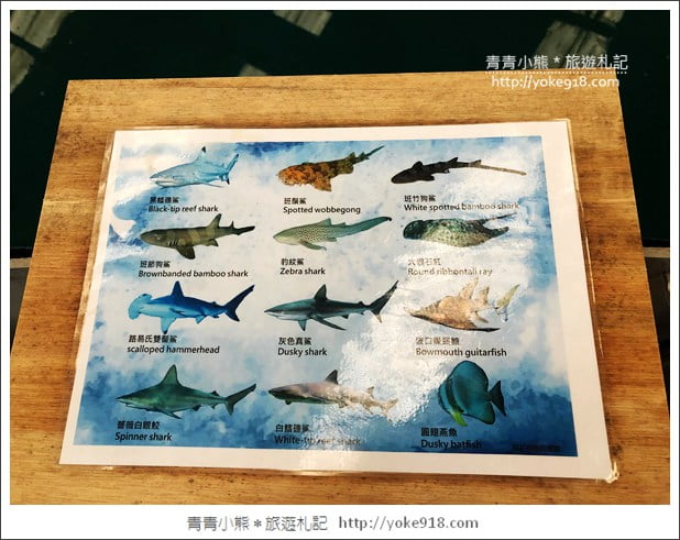 宜蘭礁溪景點》金車水產養殖研發中心~有如來到水族館還可餵鯊魚 @青青小熊＊旅遊札記