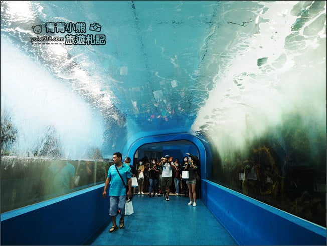 桃園新景點》Xpark水族館．13展區介紹必看亮點，企鵝、水母太療癒 @青青小熊＊旅遊札記