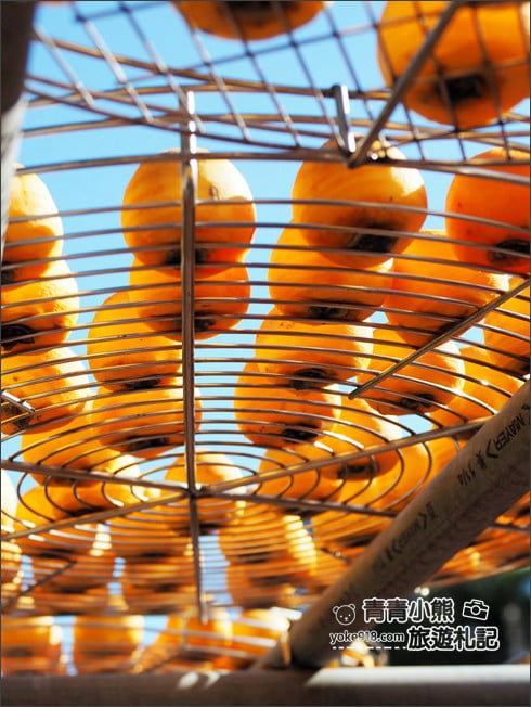 新竹景點》金漢柿餅教育園區．免門票景點~秋天最美的色彩，黃澄澄柿子紅了 @青青小熊＊旅遊札記