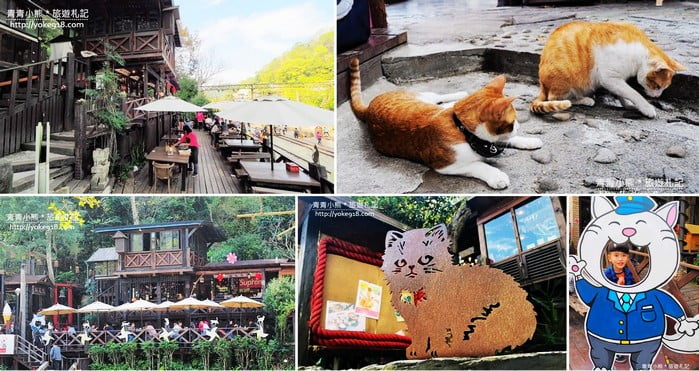 苗栗三義景點》（已結束營業）有隻喵景觀餐廳．鐵道旁咖啡廳~超萌店貓陪你喝咖啡 @青青小熊＊旅遊札記