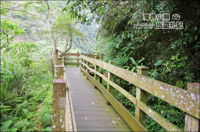 南投親子景點》鳳凰谷鳥園生態園區．森林溜滑梯、賞鳥、步道~一次走訪 @青青小熊＊旅遊札記