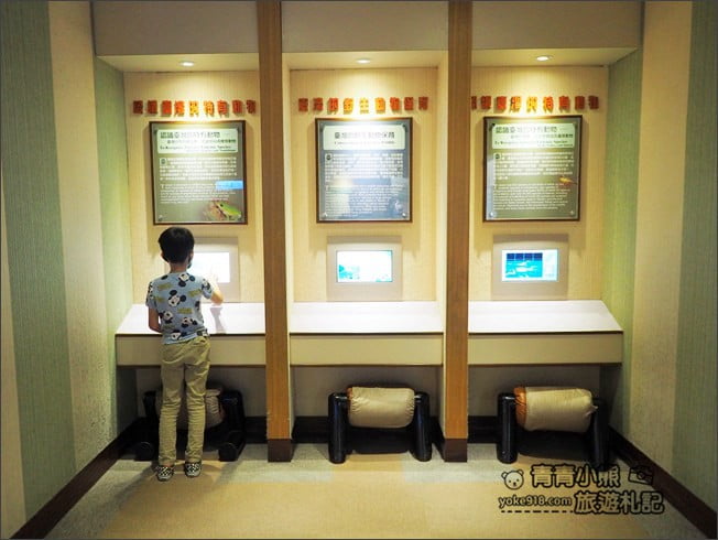 南投景點》集集親子景點~特有生物研究保育中心．充滿驚喜的臺灣物種博物館 @青青小熊＊旅遊札記