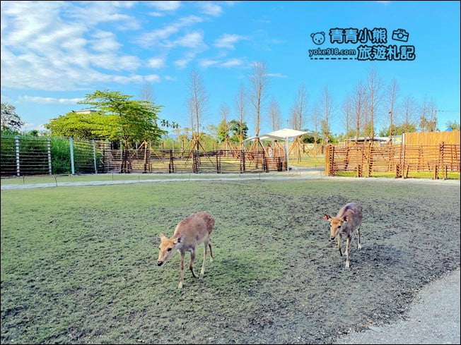 宜蘭景點》斑比山丘．住著好多小鹿~可愛又有趣的小鹿主題園區 @青青小熊＊旅遊札記