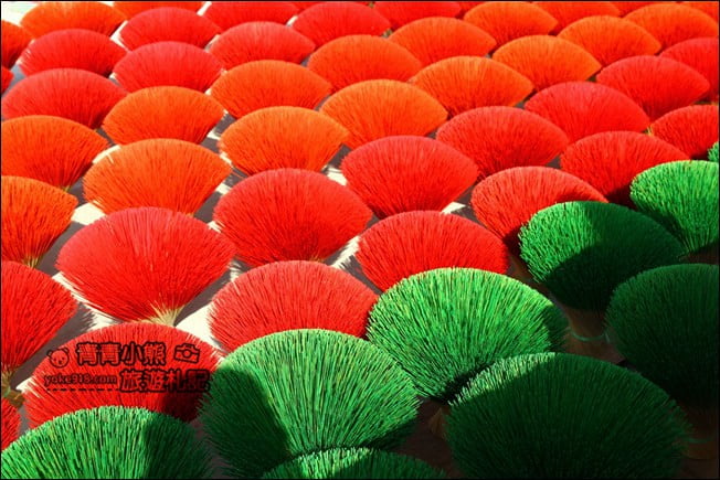 嘉義景點》新港大慶製香廠．來去看看傳說中的紅色、綠色波波草 @青青小熊＊旅遊札記