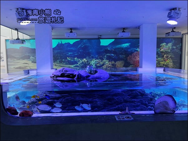 基隆新景點》潮境智能海洋館．全新開幕有未來感的海洋館~還有漂浮咖啡廳 @青青小熊＊旅遊札記