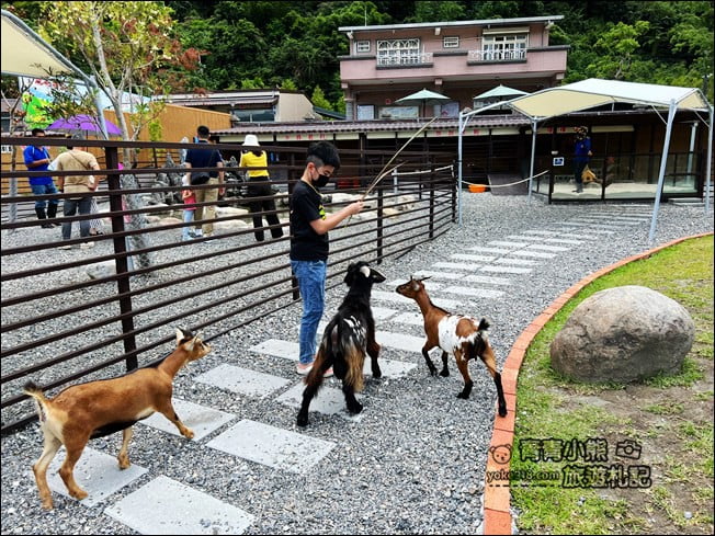 宜蘭新景點》鹿爺爺．有狐獴一家人，還可以近距離跟水豚一起玩 @青青小熊＊旅遊札記