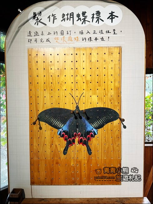 南投埔里景點》蝴蝶小鎮生態休閒園區-木生昆蟲博物館．還有巨大昆蟲陪你喝咖啡 @青青小熊＊旅遊札記