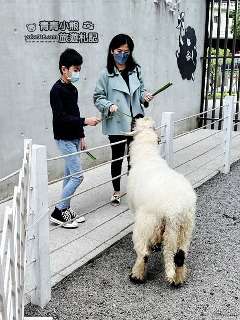 宜蘭新景點》黑RURU CAFE．來找黑嚕嚕的笑笑羊拍照去 @青青小熊＊旅遊札記