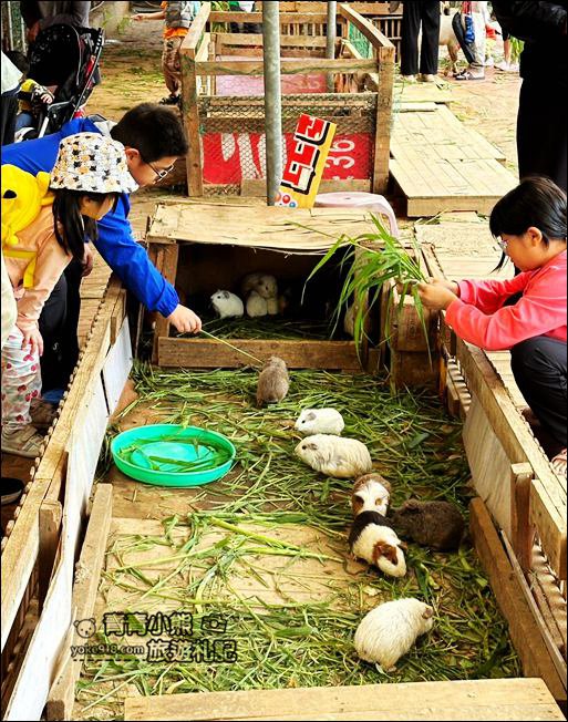 桃園親子景點》陽榮生態農場．可以撈魚釣青蛙、餵小羊，還有可愛的小動物都在這 @青青小熊＊旅遊札記